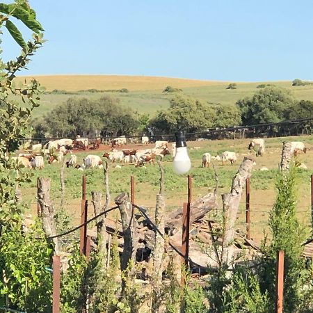 Alojamiento Rural El Soldao Medina-Sidonia Exterior photo